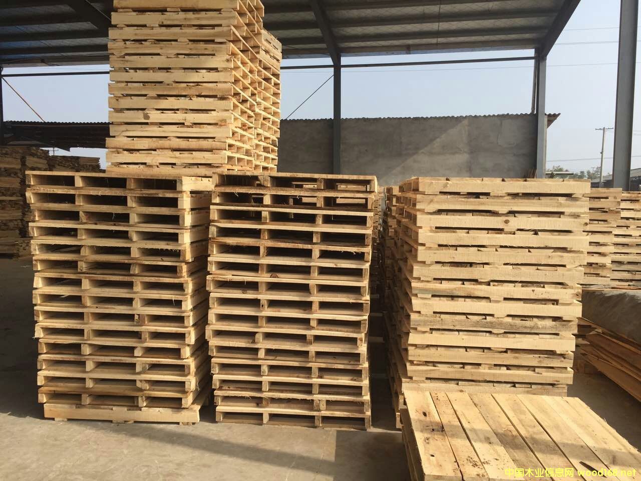 ��ľ�бP��ľ��������܇��ľ���塢�}�����D(zhu��n)�������l(f��)