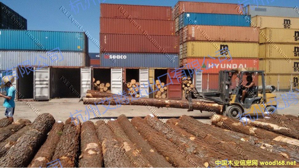 �����ɘ�ԭľ