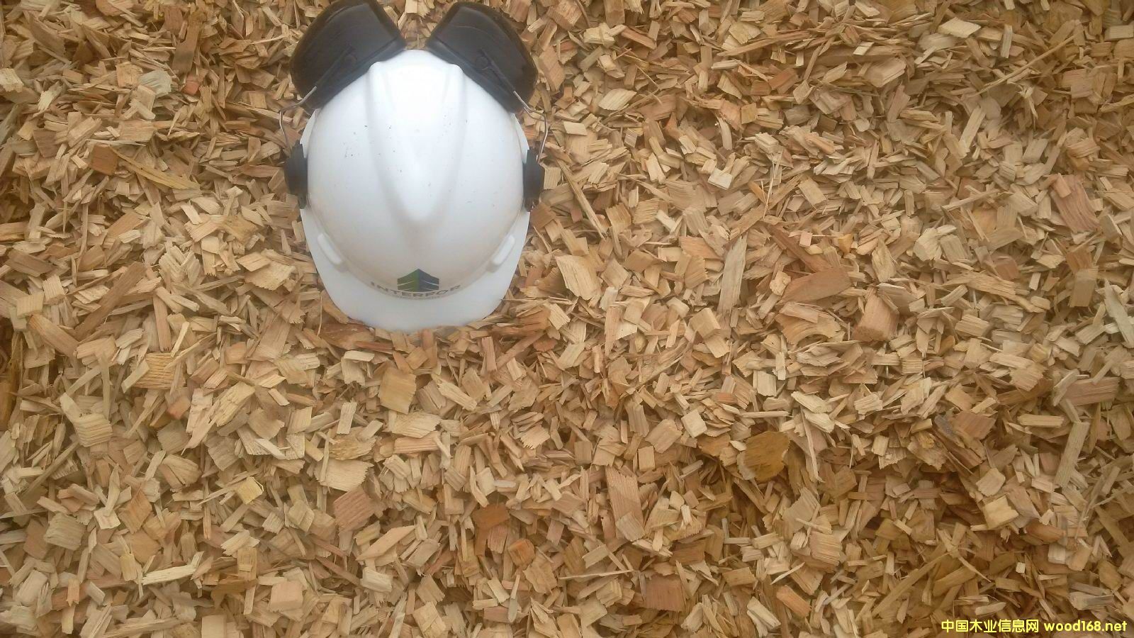 [��] �����M(j��n)��ľƬ