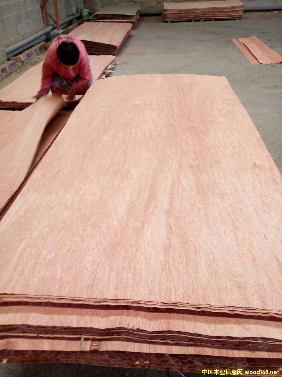 ���ǹ��ΰ�