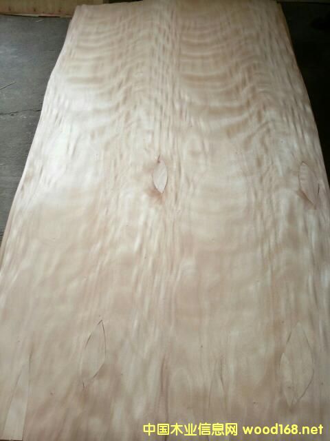 �һ�оƴ�a�ΰ�