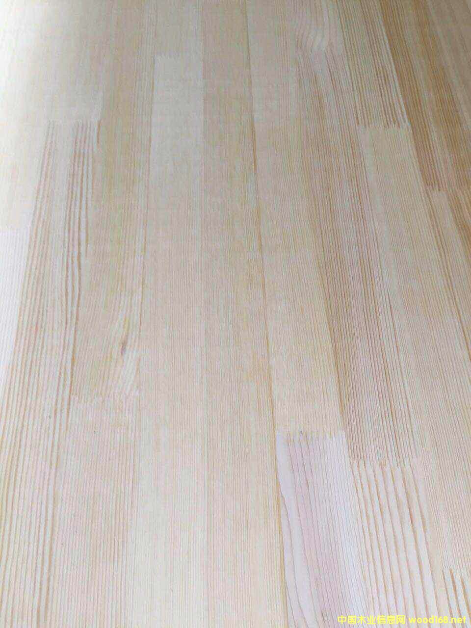 [��] �����ɼ��ɲ�ָ�Ӱ�