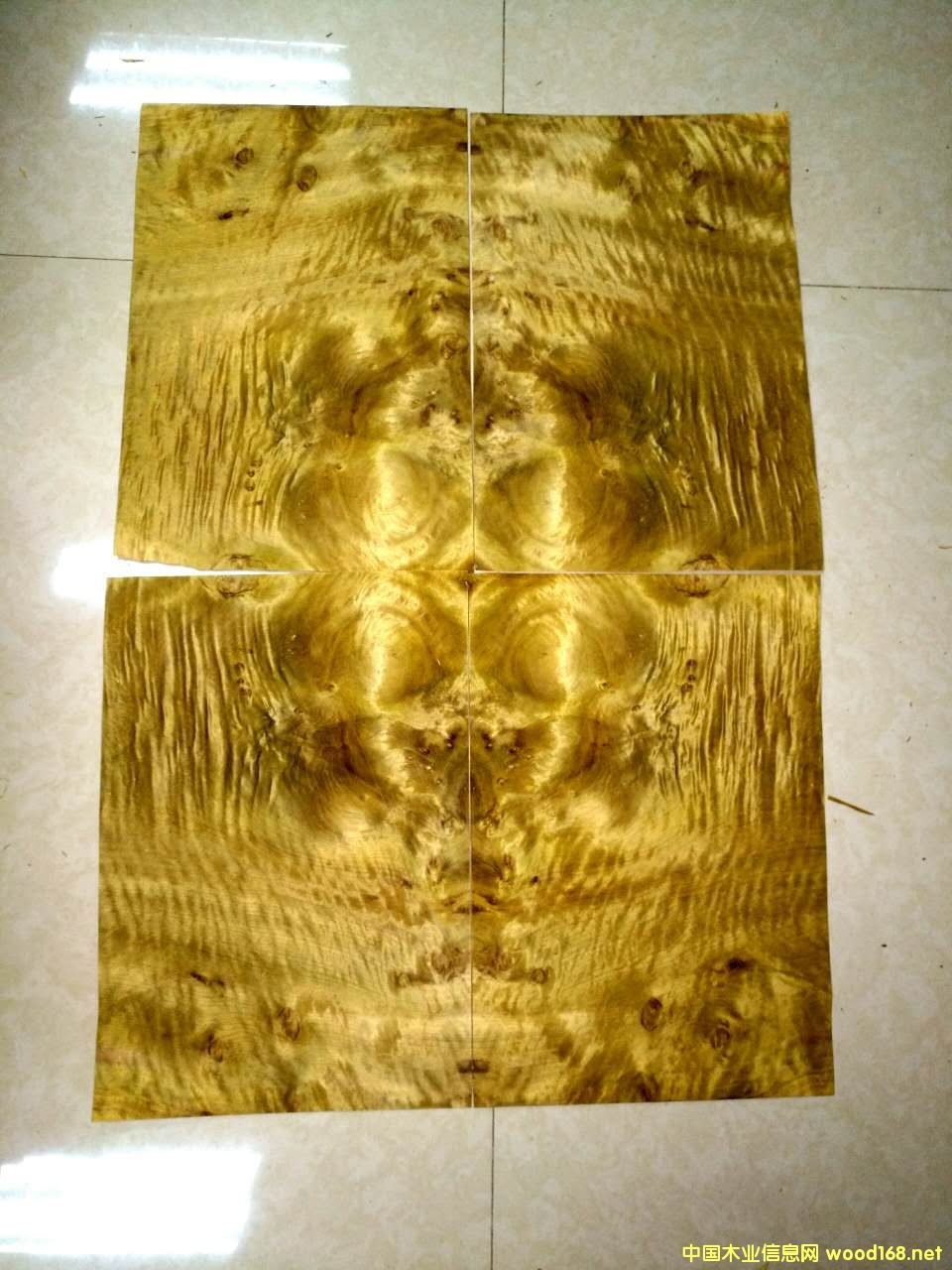 ��Ȼ��z�ľƤ��Ԕ����B