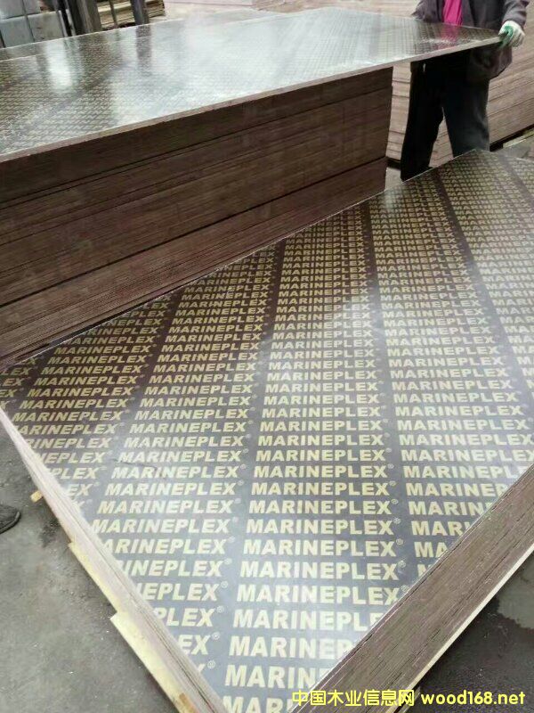 �����ߌӽ����z�ϰ��Ԕ��(x��)��B