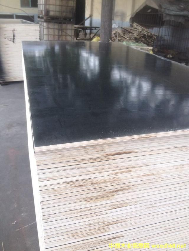 12���ɫ��ĸ��Ĥ���Ԕ��(x��)��B