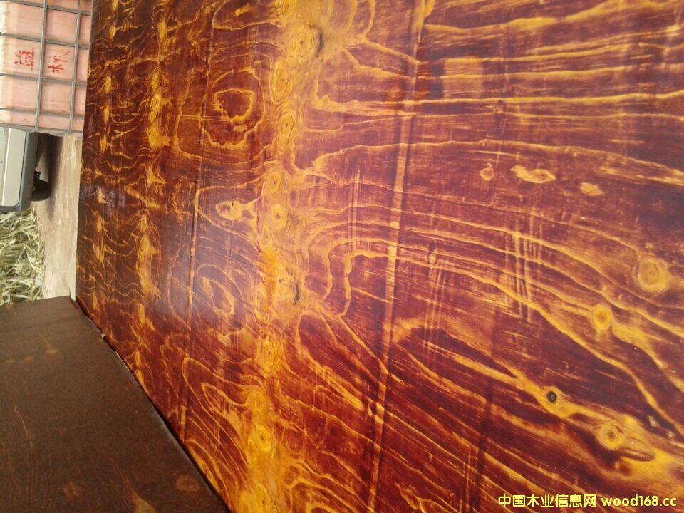 [��] ������Ĥ��