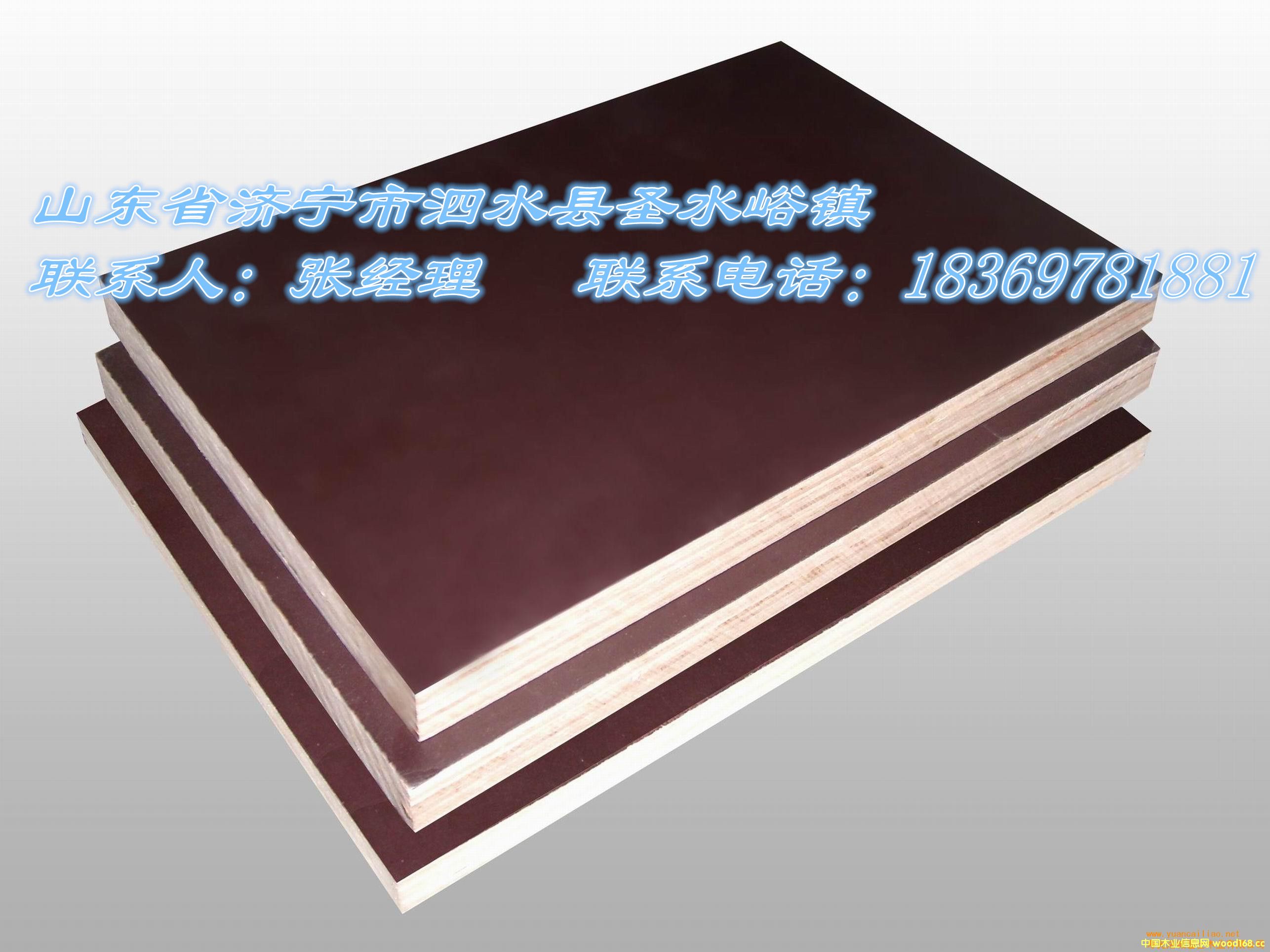 ����ģ�����