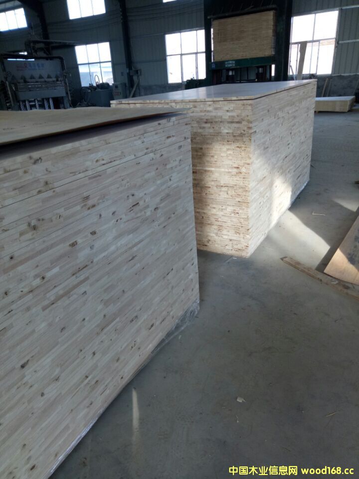 �t���N��