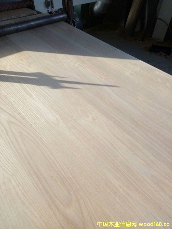 �t���N��