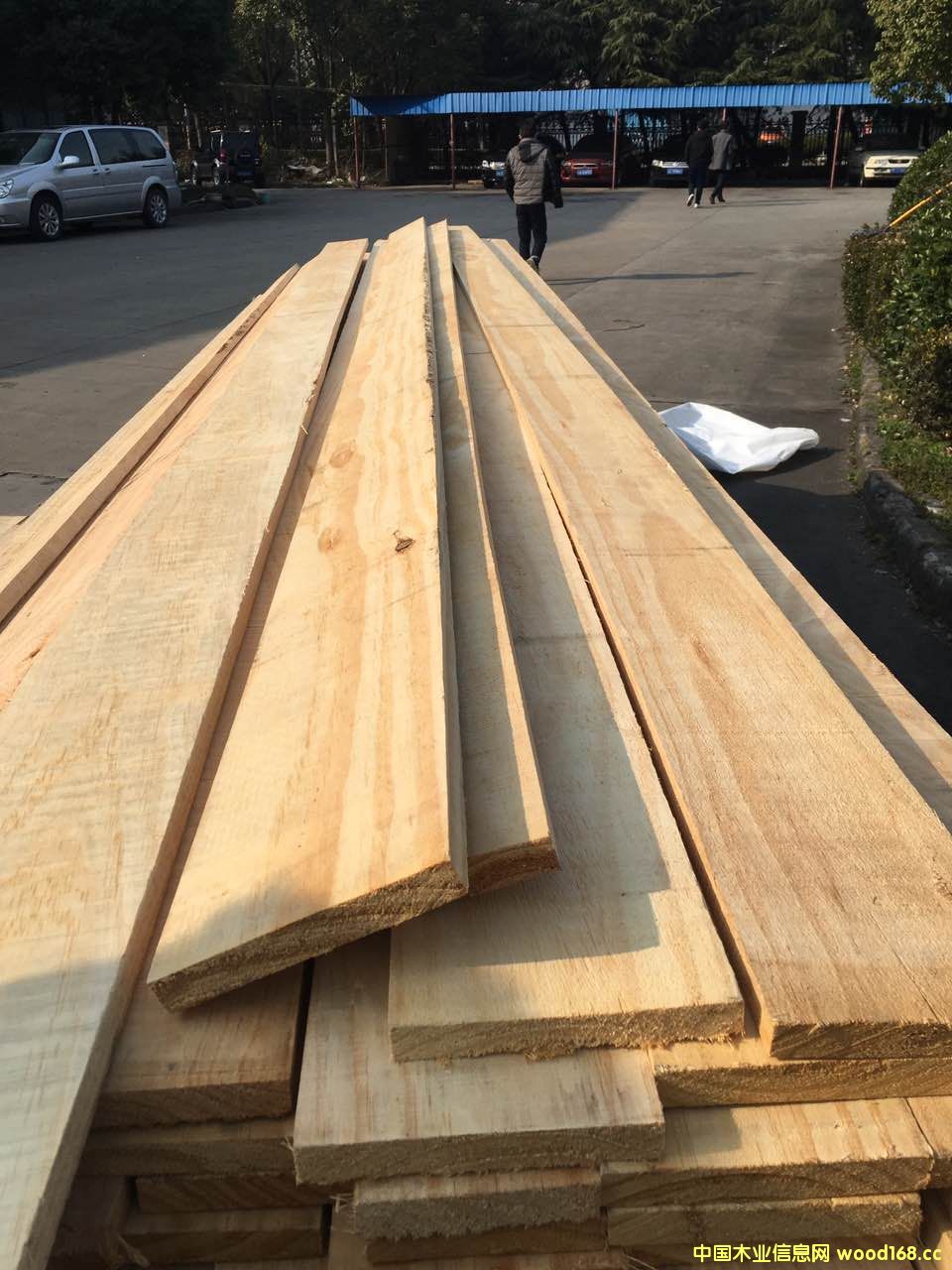 �����mݗ���������ɟo��(ji��)�ĵ�Ԕ����B