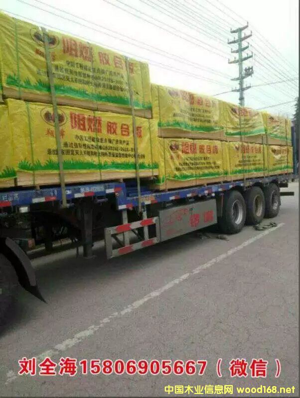 �����ȼ���Ԕ��(x��)��B