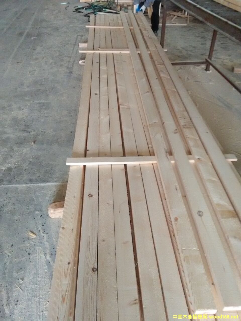 ���^�n�ӗl��Ԕ��(x��)��B