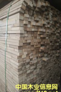 ��ľָ��(ji��)�l