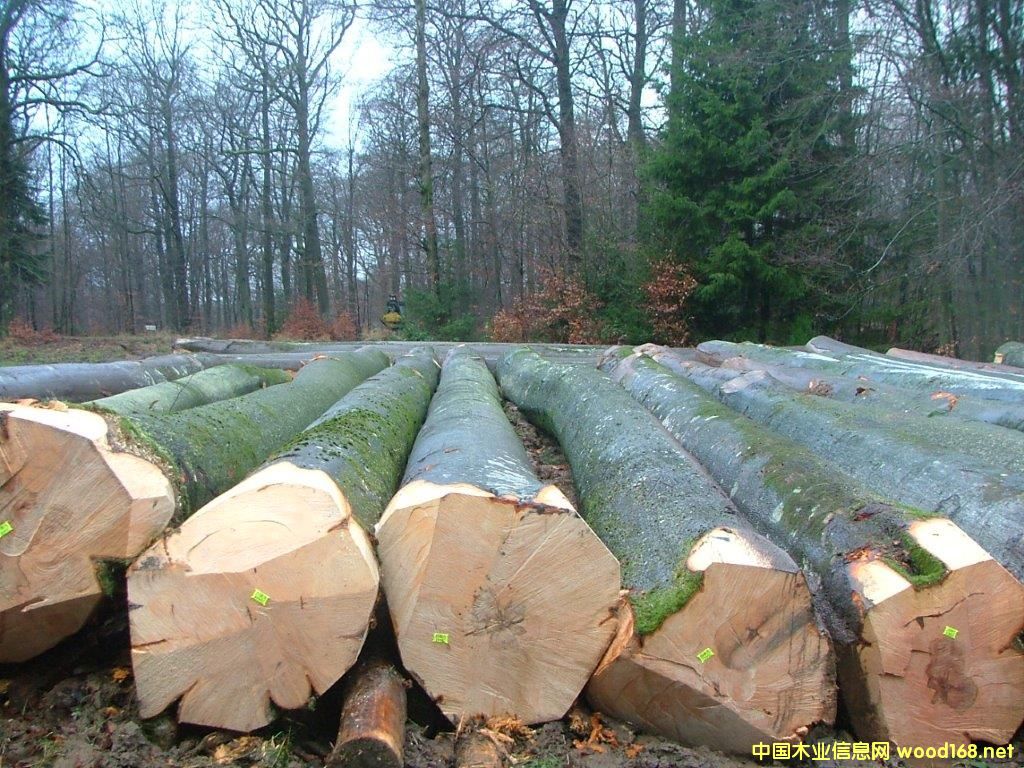 ��ľ-2016-2��Ԕ��(x��)��B