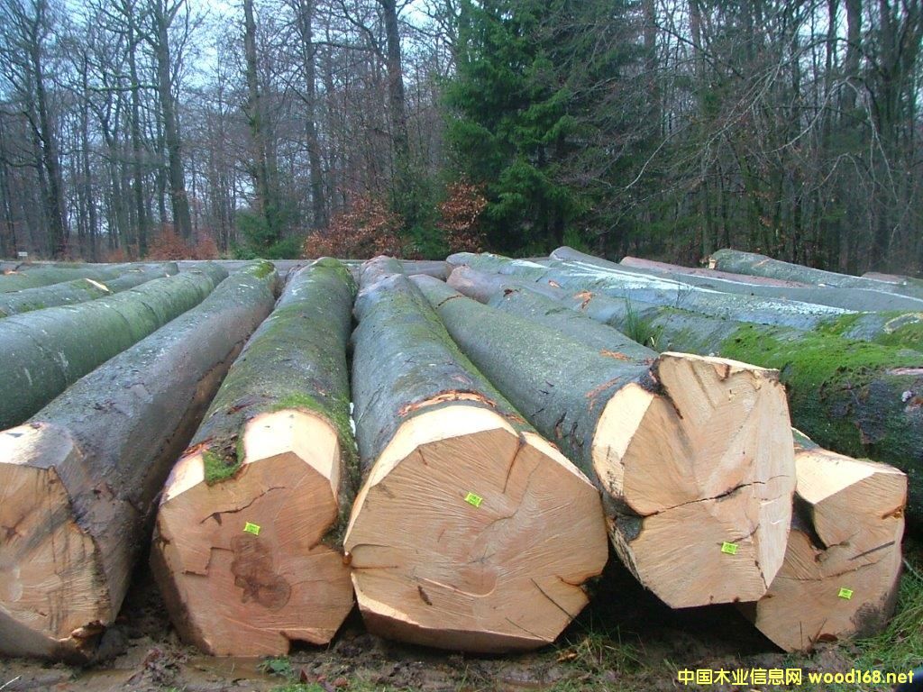 ��ľ-2016-1��Ԕ��(x��)��B