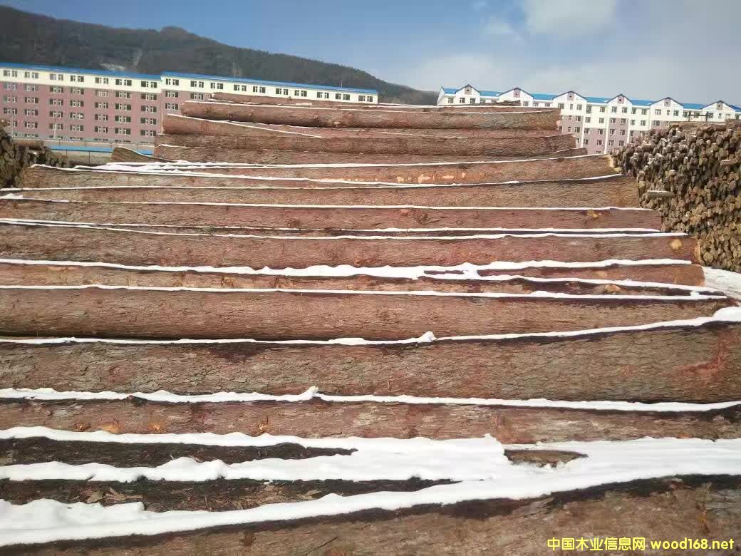 ���~��ԭľ��Ԕ��(x��)��B