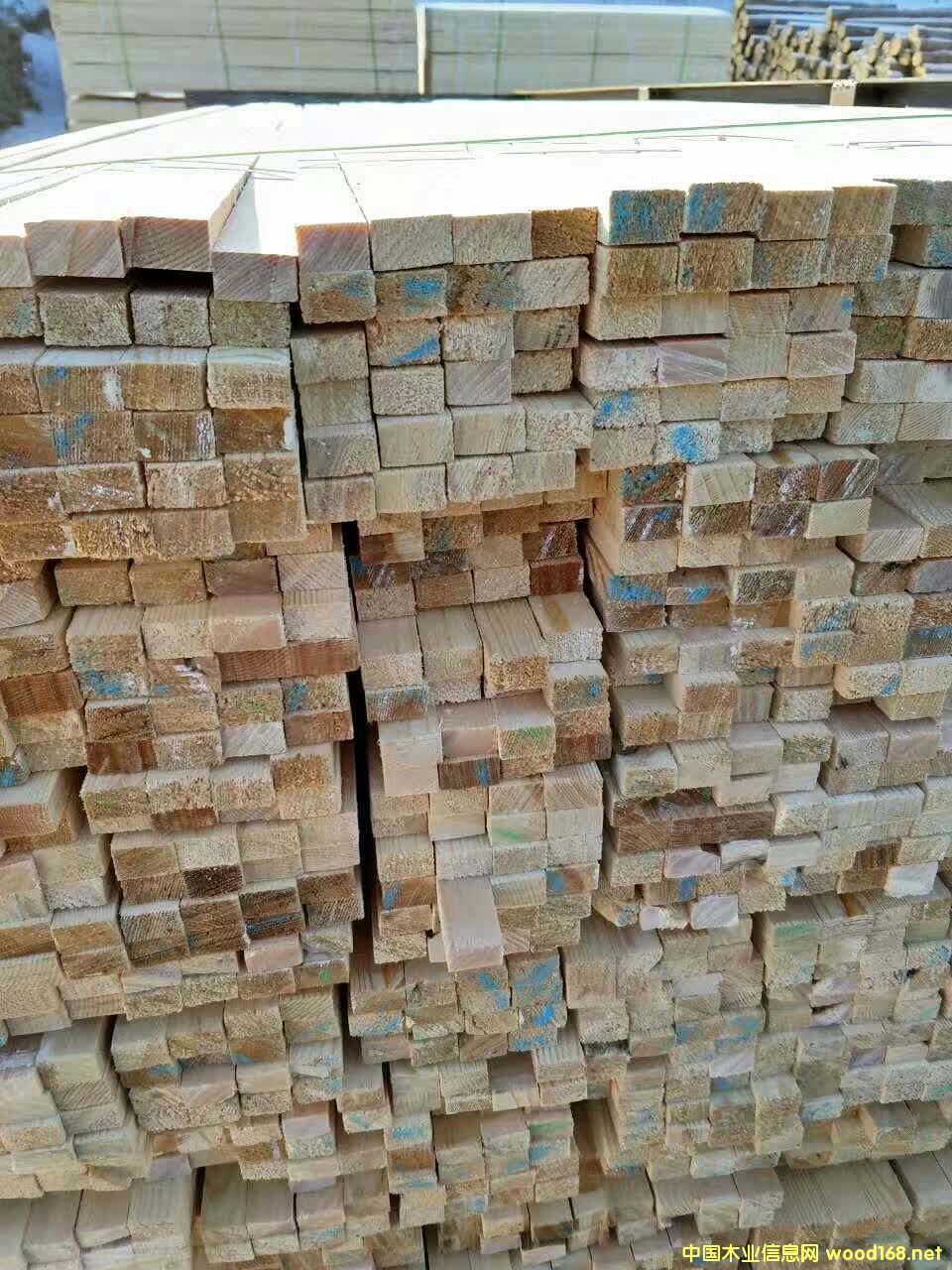 ������ľ����