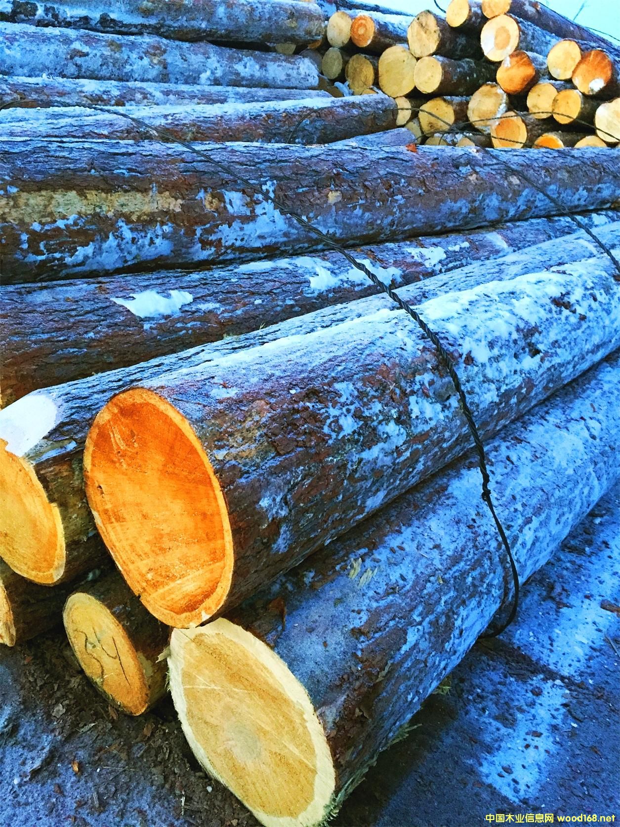 �t�� ԭľ6�צ�45��Ԕ��(x��)��B