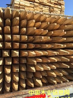 ���_˹�M�����~������Ҏ(gu��)��