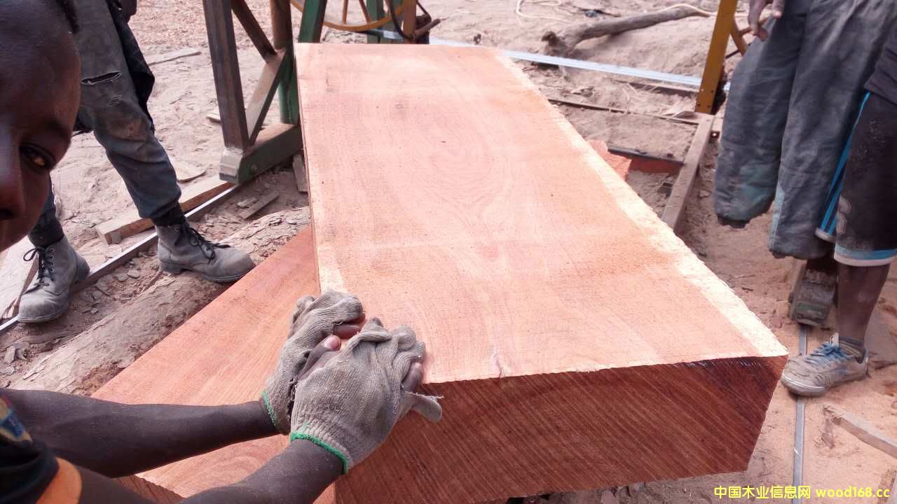 ���~������5cm��Ԕ����B