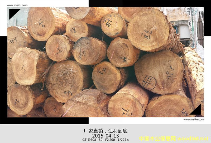 �ձ���ɼԭľ���ľ��