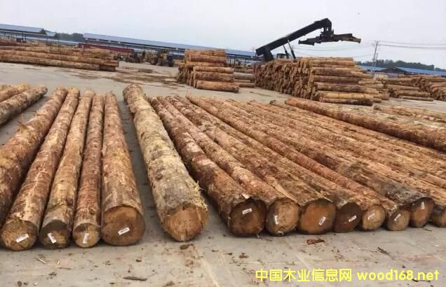 ���ҿڸ�ľ�Ľ��׮a(ch��n)�I(y��)�@