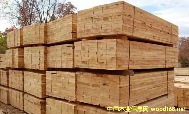 ����ľ���Ј��Ϸ��Ƀr(ji��)��(qi��ng)���ϓP(y��ng)