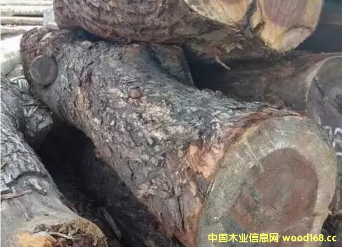 �tľ����òģ��ɘ�(l��)��ľ���t�F����Ԕ��