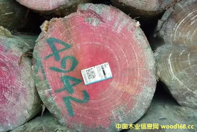 �����d�A�� ɭ��ľ�I(y��)��؛�������mݗ������ס�џo��(ji��)��