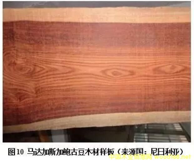 ľ�İٿƣ��������F�Ҿ���ľ�ļt̴ľ