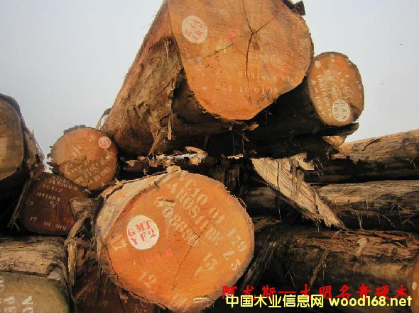 ľ�Ę�NԔ��--����˹  �׷Q������ͩ�����ް�ľ