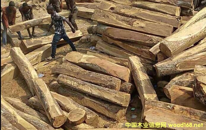 �tľԭ�Ĕ�(sh��)���J�p�r(ji��)�񯂝q �Ҿ���I(y��)��Α�(y��ng)��(du��)��