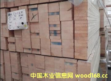 ���mľ���Ј����S ��ɼ䏲ăr���߄ݜغ�