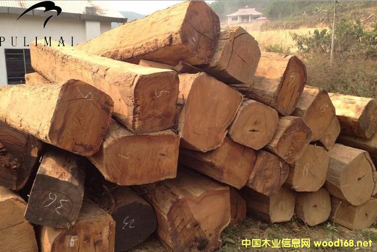 δ���tľ�Ј������黨��Q���ѳɶ���