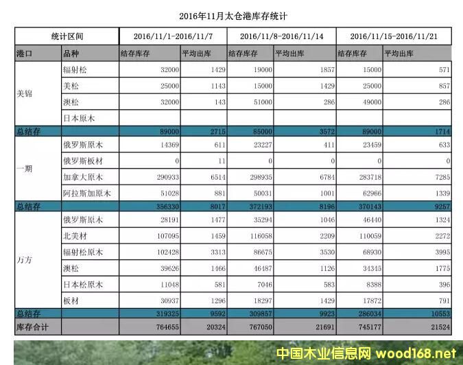 2016��11��̫�}��ľ�Ď��y(t��ng)Ӌ(j��)