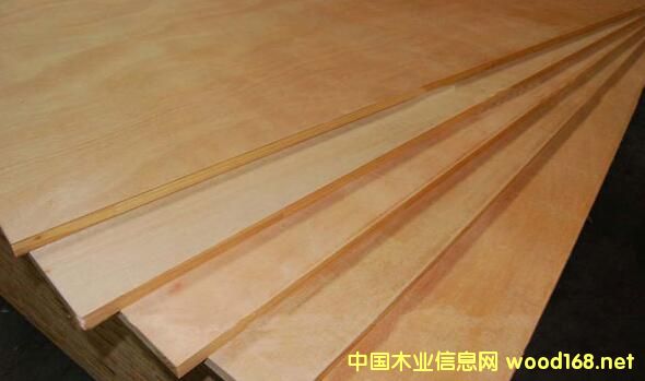 ��о��--�](m��i)���N������Ҫ�N��������NľƤ