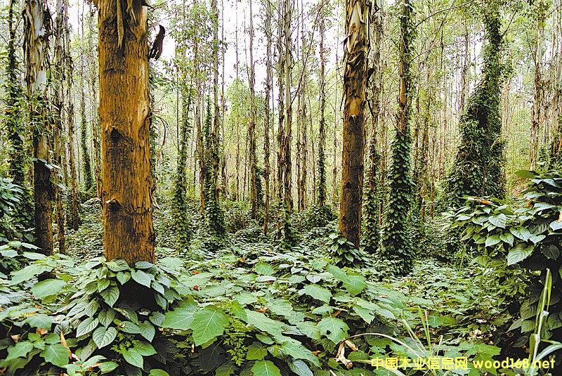 �����ǡ��¸��䡱߀�ǡ���ˮ�C��