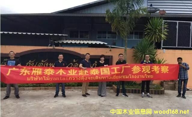 �V�|��̩ľ�I(y��)���F(tu��n)��̩�����^����ʮ�(d��ng)���S