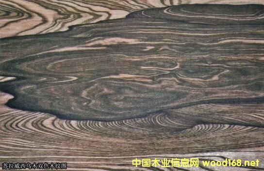 �K��������ľ