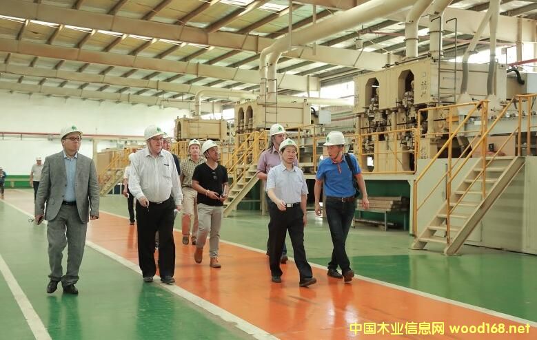 �����m���Ĵ��������R������ľ���ИI(y��)����F���S��ľ�I(y��)