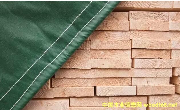 ���ľ�I(y��)�f(xi��)�����M�ɶ� չ�����|(zh��)���������ɺ���ɼ