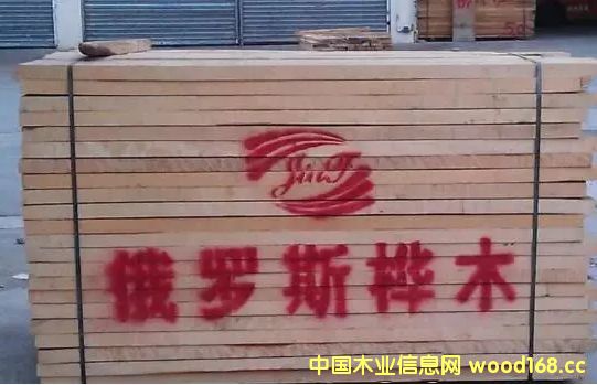 ���_˹��?q��)���ֹ��ľԭľ��䏲ĳ��?><br>
                      <font size=3><b>���_˹��?q��)���ֹ��ľ�?/b></font></a></div>
                  </td>
                </tr>
                 
                <tr> 
                  
                <td height=