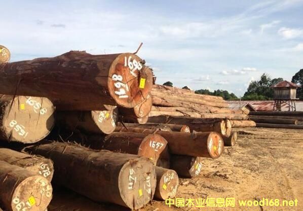 ��N����ݗ�����������ɡ����ձ������W����������ɼ��Ʒ�N