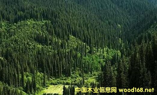 ȫ����~�İ�ăr��������ͨ��