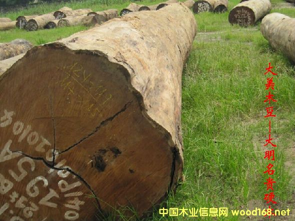 ľ�Ę�NԔ��--����ľ�� �׷Q����ľ��