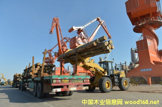 ���������Sľ�Ĵa�^ �������缉(j��)ľ�ļ�ɢ����