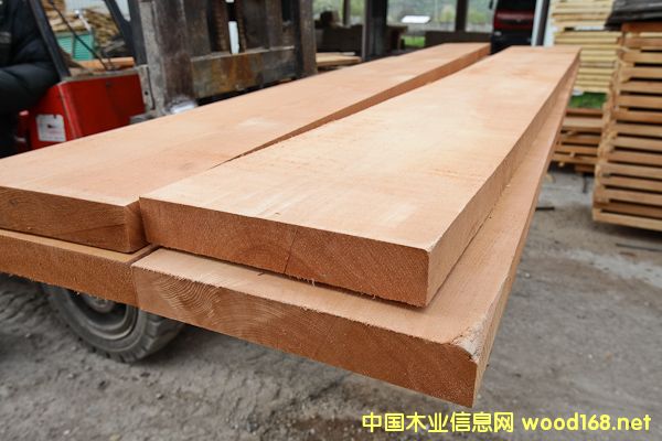 �_�R�၆ľ�����a(ch��n)���ӚW��ǰ��