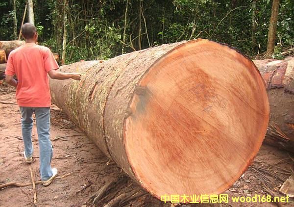 ɳ�����F(xi��n)���ѝu�u�o�ˆ��� �G��ɣ�r����