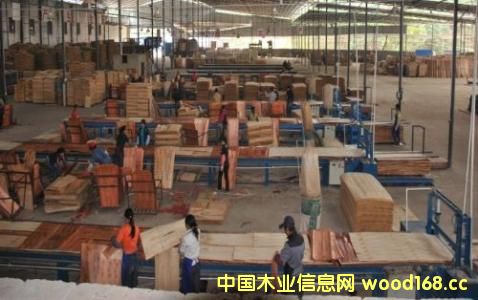 ӡ���z�ϰ�����(qi��ng)��������(y��ng)���� �o�Ї��������I(y��)���������C(j��)