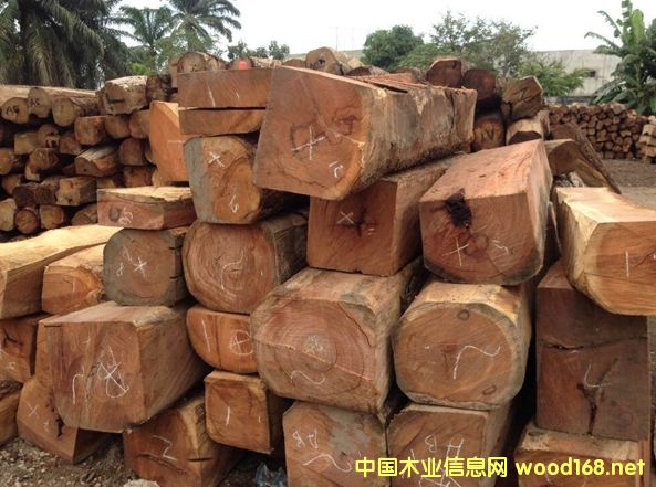 �����̴�ĞlΣ�m�������Юa(ch��n)�؇���